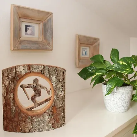 Deluxe Bergsicht - Kirchberg Center Appartement